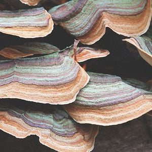 Foto 100 días de soledad