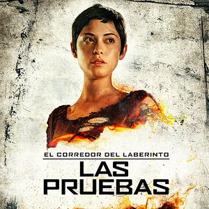 Foto El corredor del laberinto: Las pruebas