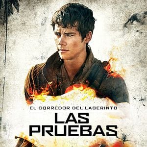 Foto El corredor del laberinto: Las pruebas