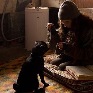 Foto Molly Moon y el increíble libro del hipnotismo