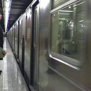 Foto Looking for Kitty