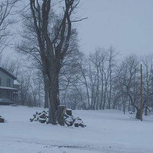 Foto Todavía estamos aquí