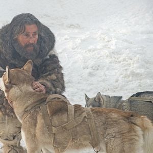 Foto Nadie quiere la noche