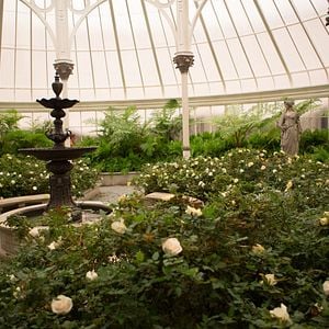 Foto Los juegos del hambre: Sinsajo - Parte 2