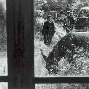 Foto Al azar, Baltasar