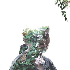 Foto Cemetery of Splendour