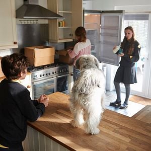 Foto Pudsey, el perro