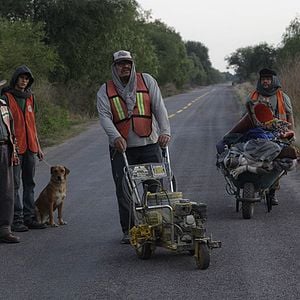 Foto La delgada línea amarilla