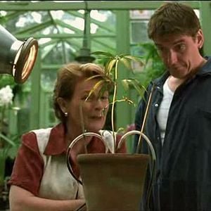 Foto El jardín de la alegría