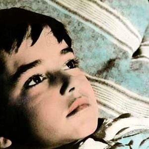 Foto Saeta del ruiseñor