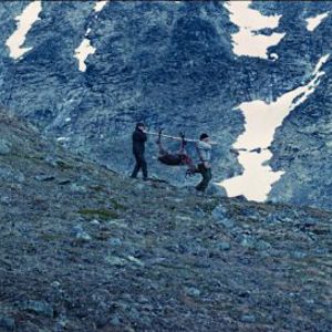 Foto Å vende tilbake