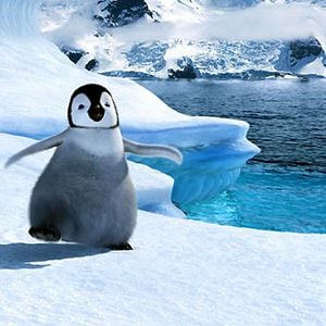 Foto Happy Feet: rompiendo el hielo