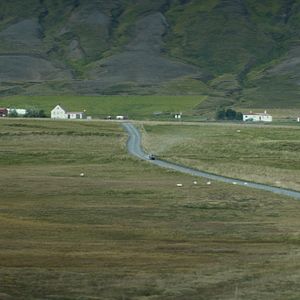 Foto Rams (El valle de los carneros)