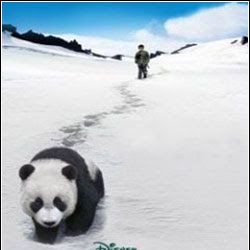 Foto La senda del panda