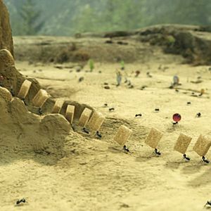 Minúsculos: El valle de las hormigas perdidas - Película 2013