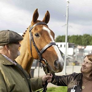 Foto Caballo ganador