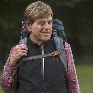 Foto Un paseo por el bosque