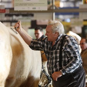 Foto Gérard Depardieu