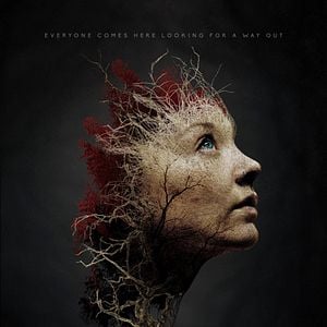 Foto El bosque de los suicidios