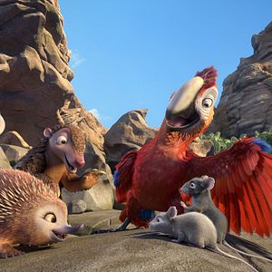 Foto Robinson, una aventura tropical