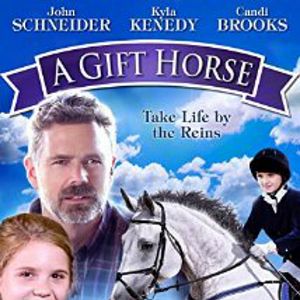 Foto Un caballo regalado