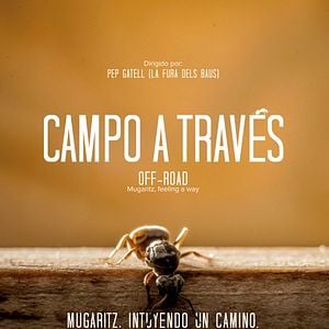 Foto Campo a través. Mugaritz, intuyendo un camino