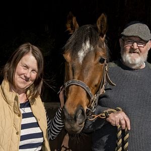 Foto Caballo ganador