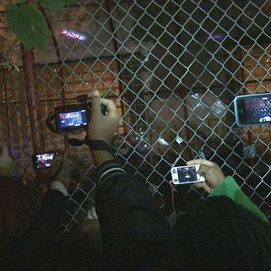 Foto Banksy Does New York