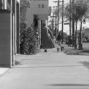 Foto Pursuit of Loneliness