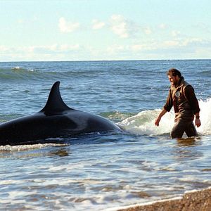 Foto El faro de las orcas