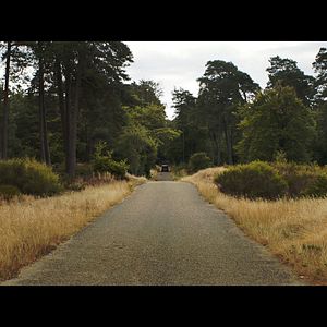 Foto Gérard Depardieu