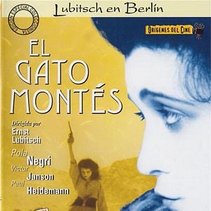 Foto El gato montés