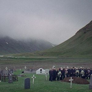 Foto Sparrows (Gorriones)