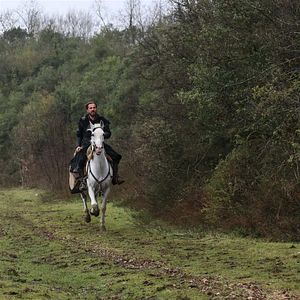 Foto Diriliş Ertuğrul