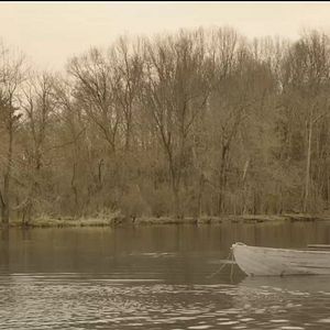 Foto The Alchemist Cookbook