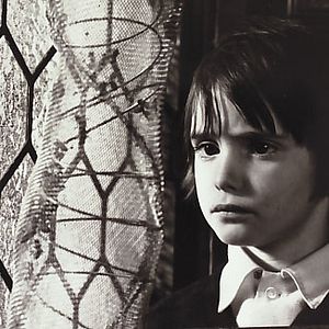 Foto El espíritu de la colmena