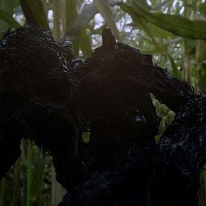 Foto Scarecrow, la maldición del espantapájaros