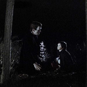 Foto El espíritu de la colmena