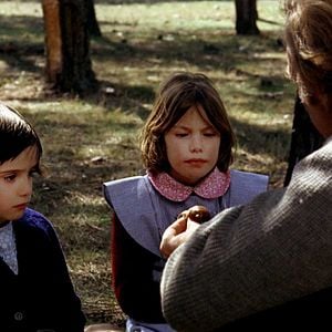 Foto El espíritu de la colmena