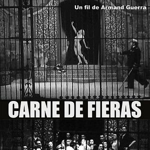 Foto Carne de Fieras