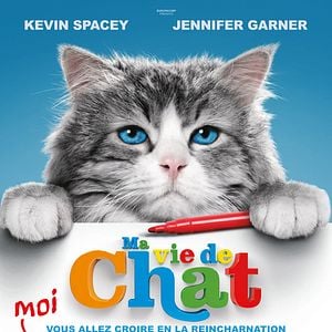 Foto Siete vidas, este gato es un peligro