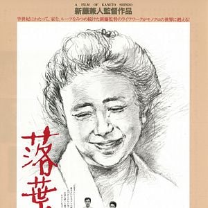 Foto Árbol sin hojas