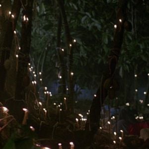 Foto La Serpiente y el Arco Iris