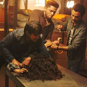 Foto Queen of the South