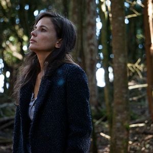 Foto La memoria del agua