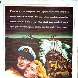 Foto El zorro de los océanos