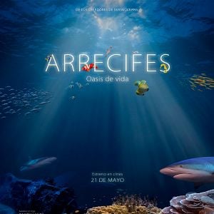 Foto Arrecifes. Oasis de vida