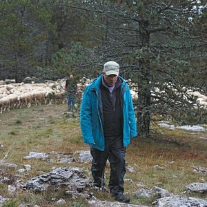 Foto Rester Vertical