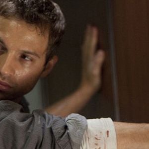 Foto Black Dog, Red Dog