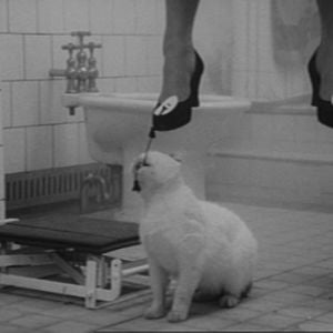 Foto Spalovac Mrtvol